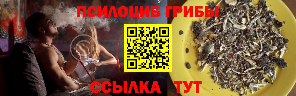 Псилоцибиновые грибы MAGIC MUSHROOMS  Вход с VPN  хочу наркоту  Мирный 